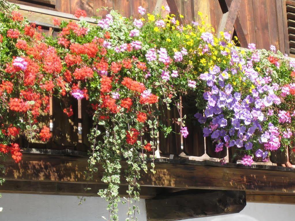Residence Hauserhof 로뎅고 외부 사진